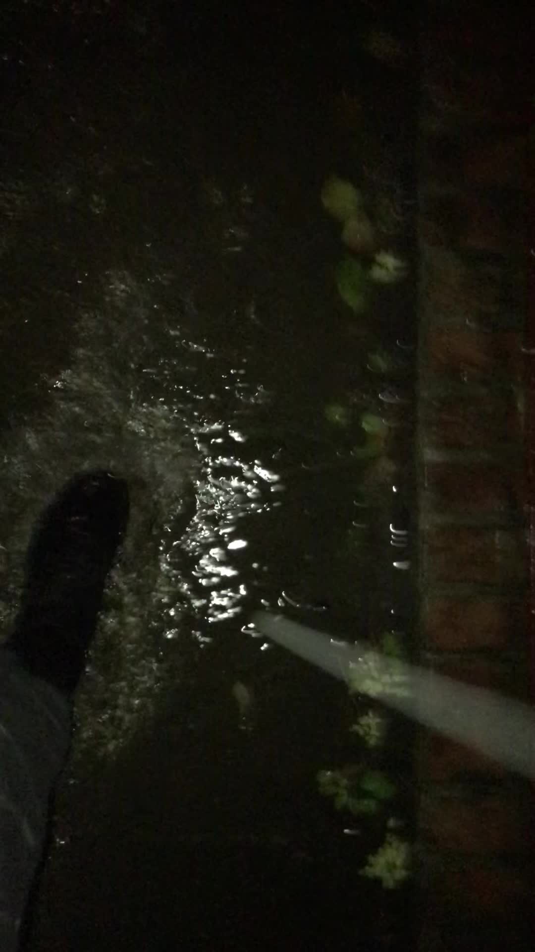@Used