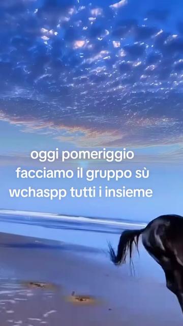 @la Queen di tik tok