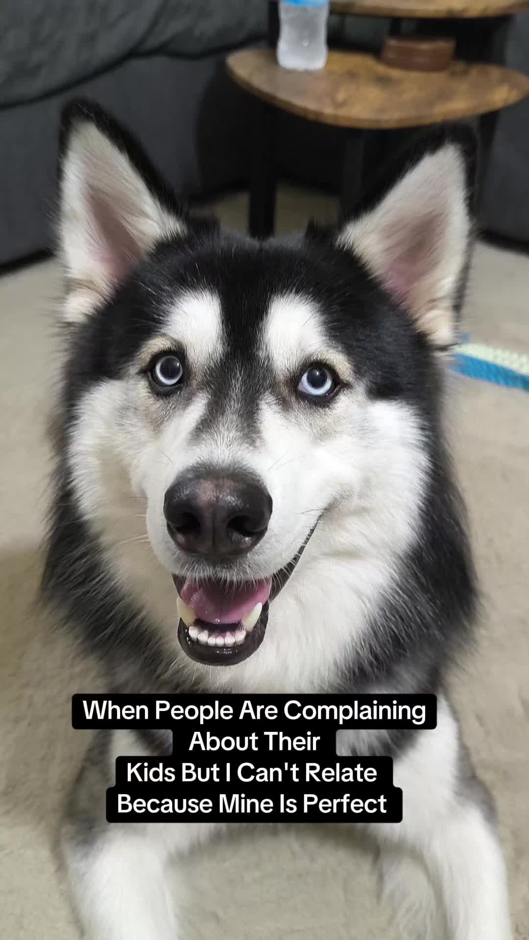 @cythehusky