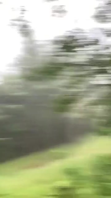 @SCARYVIDEOS