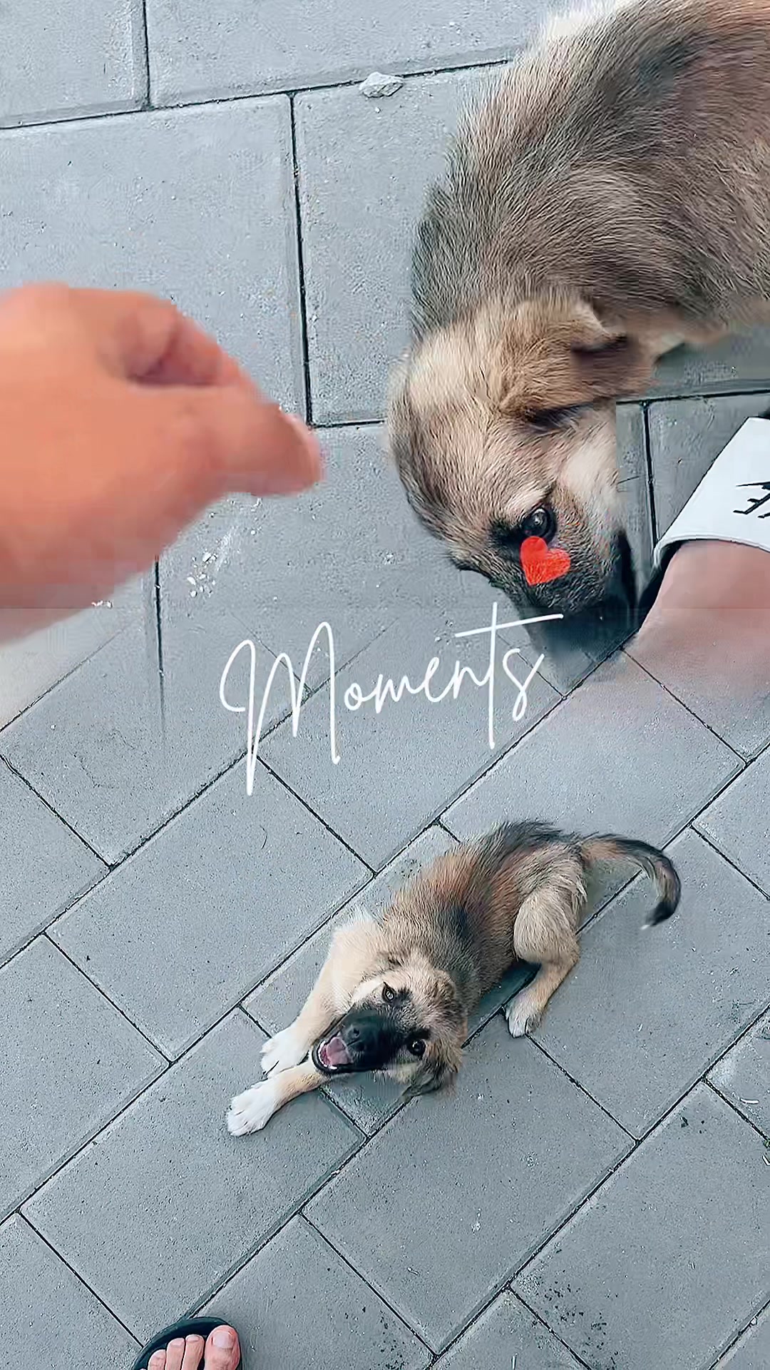 @AllesLocker📸