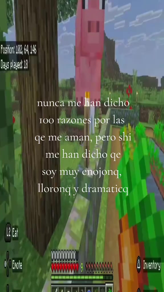 @🦄
