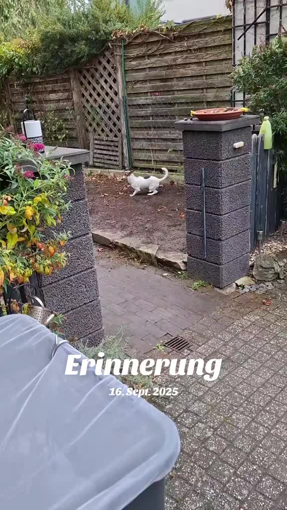 @Maya'sAbenteuer_HexeErinnerung