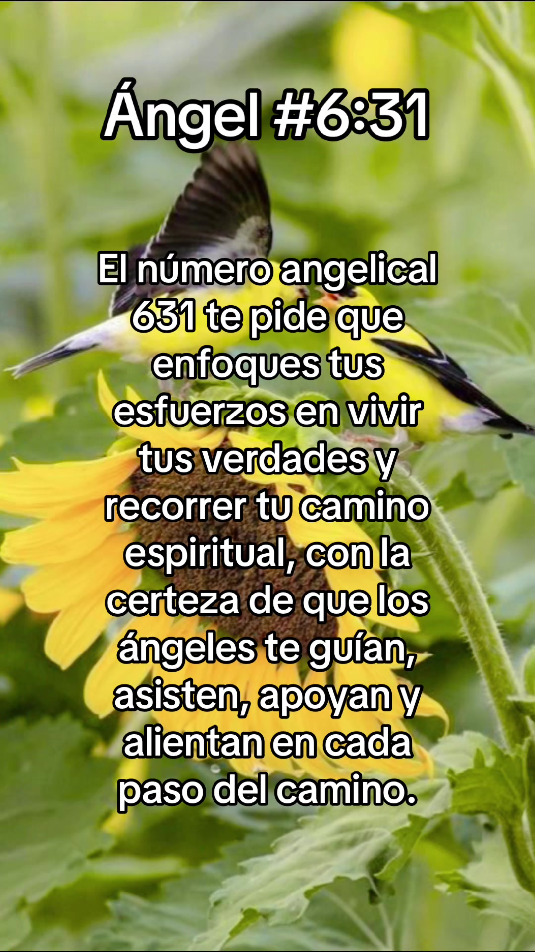 @ᑭOᖇTᗩᒪ Oᖴ EᔕᔕEᑎTIᗩᒪ ᒪIGᕼT