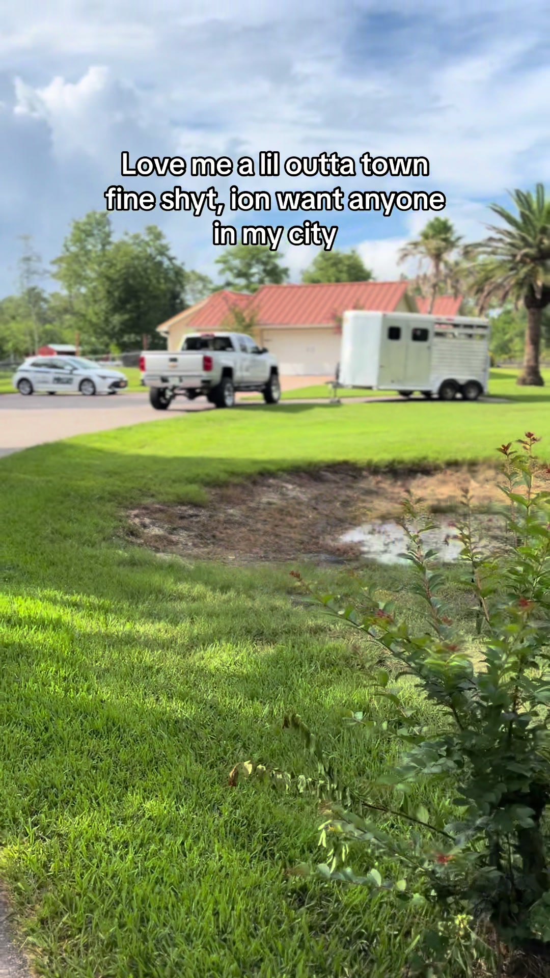 @5.3taylor