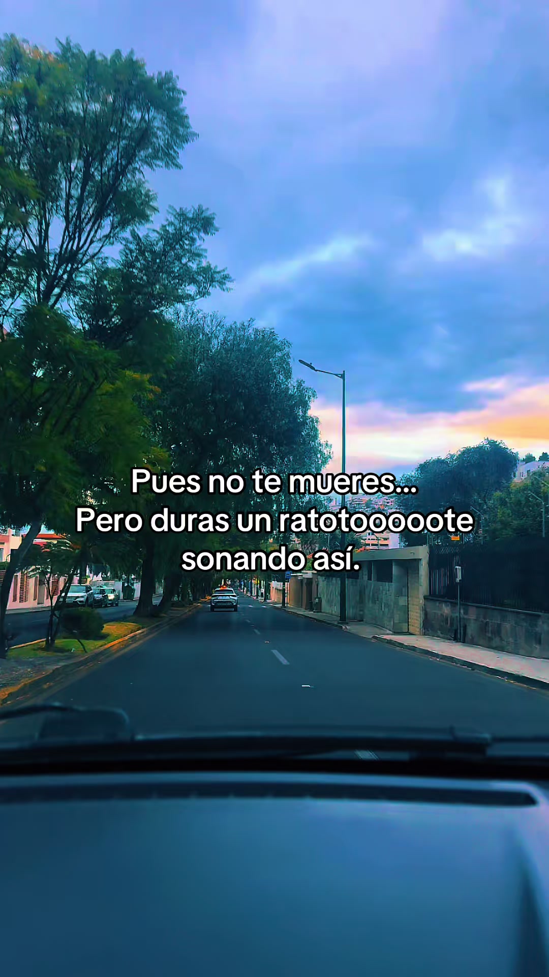 @Estefy DH