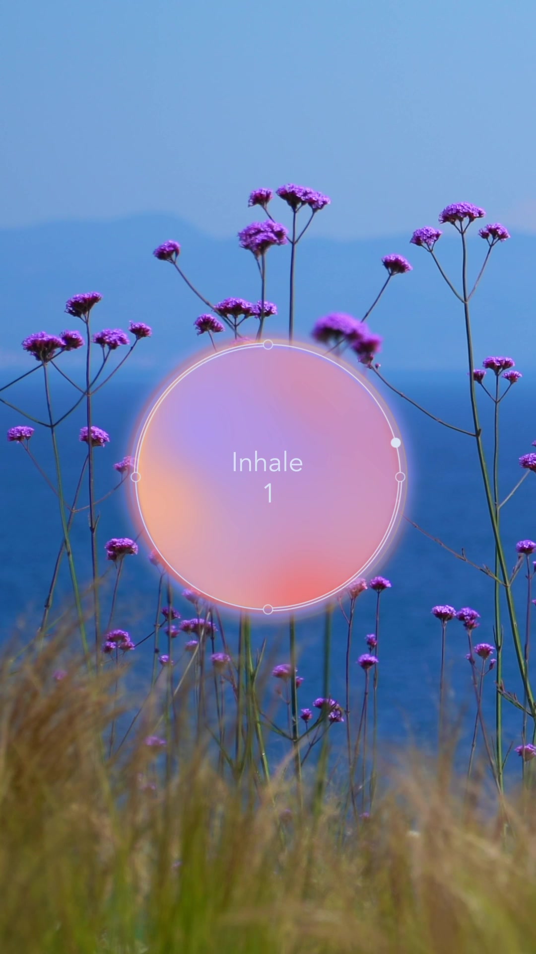 @Calm