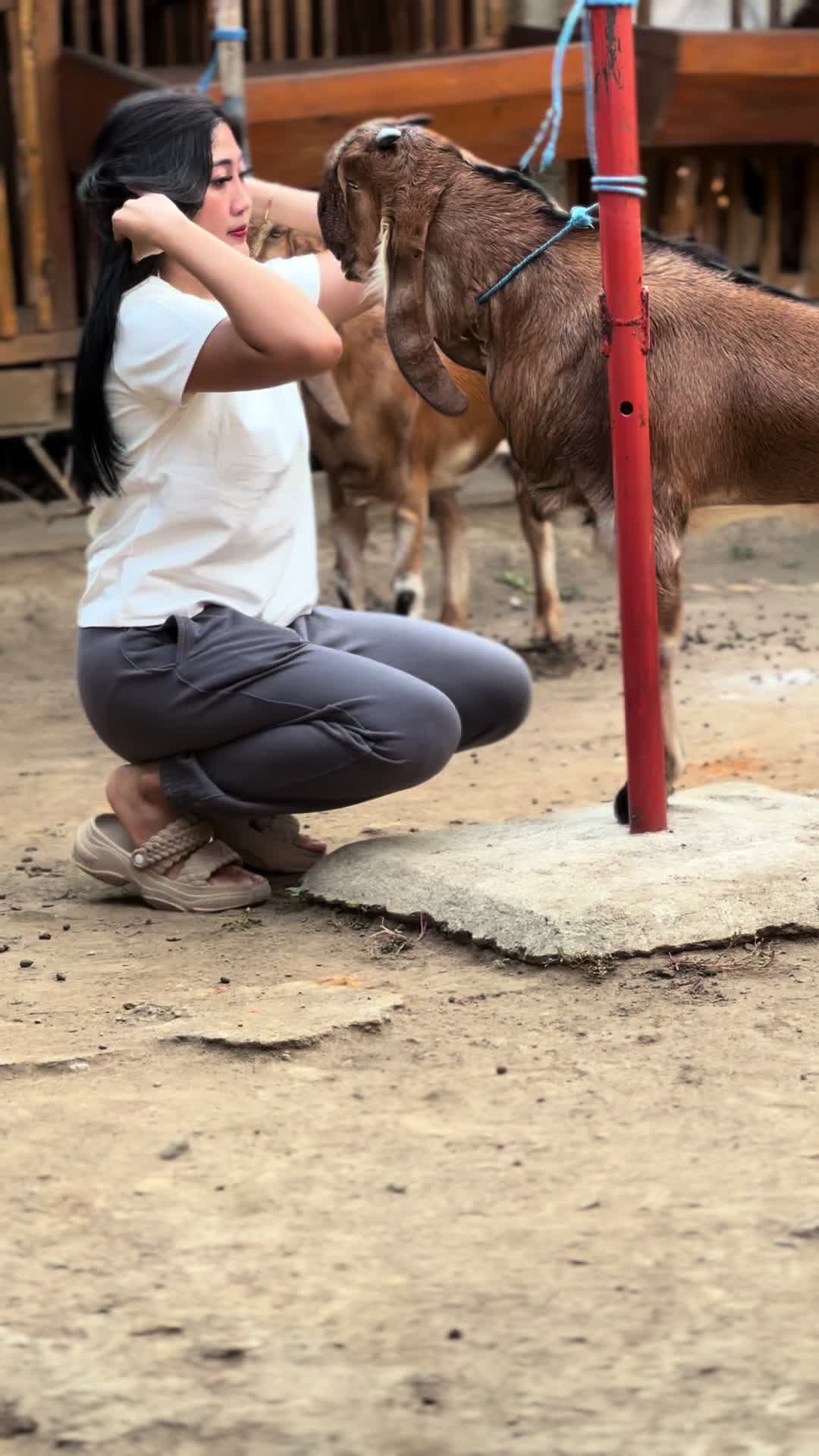 @BRIAN FARM