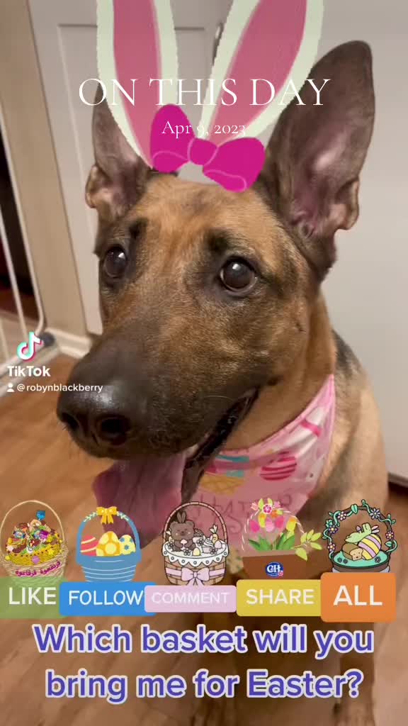 @Robyn🐕Blackberry