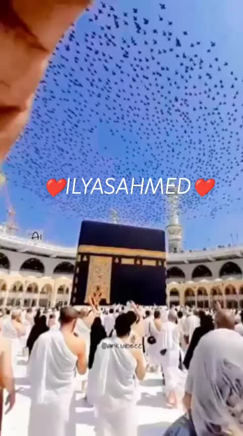 @👍🇵🇰 I LYAS.786.🇵🇰💯