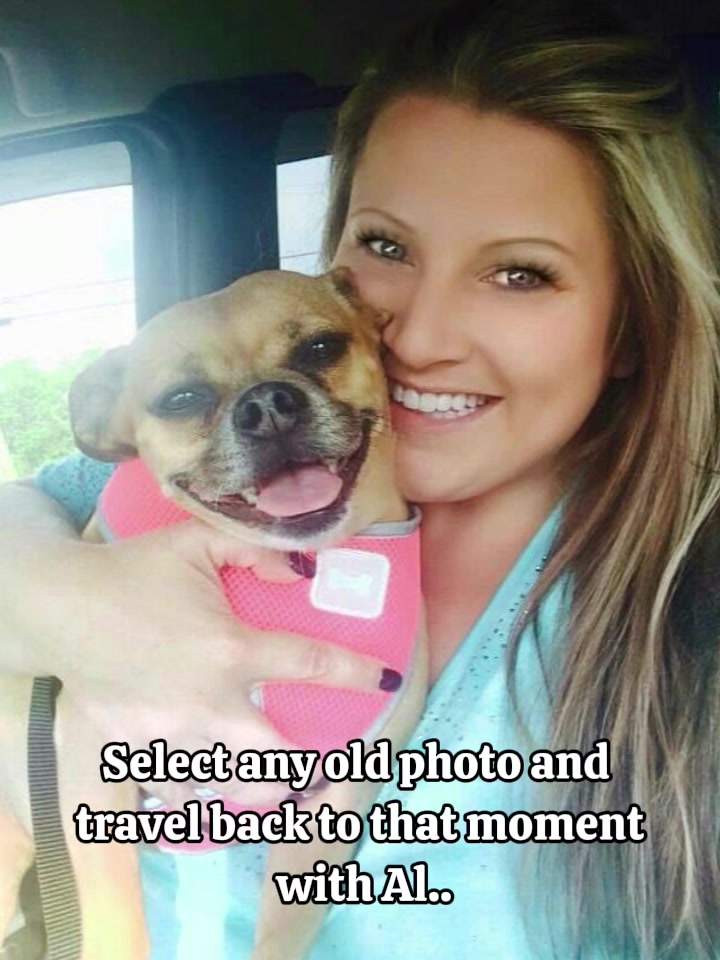 @IndianaBoxerMom
