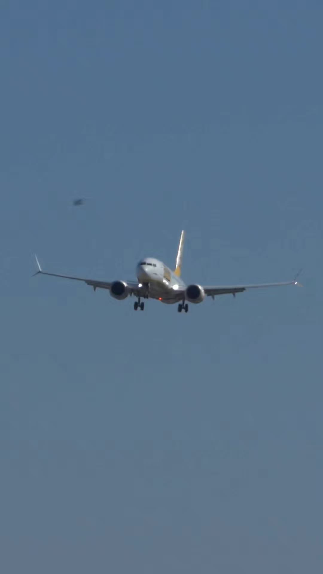 @Lisbon Spotting
