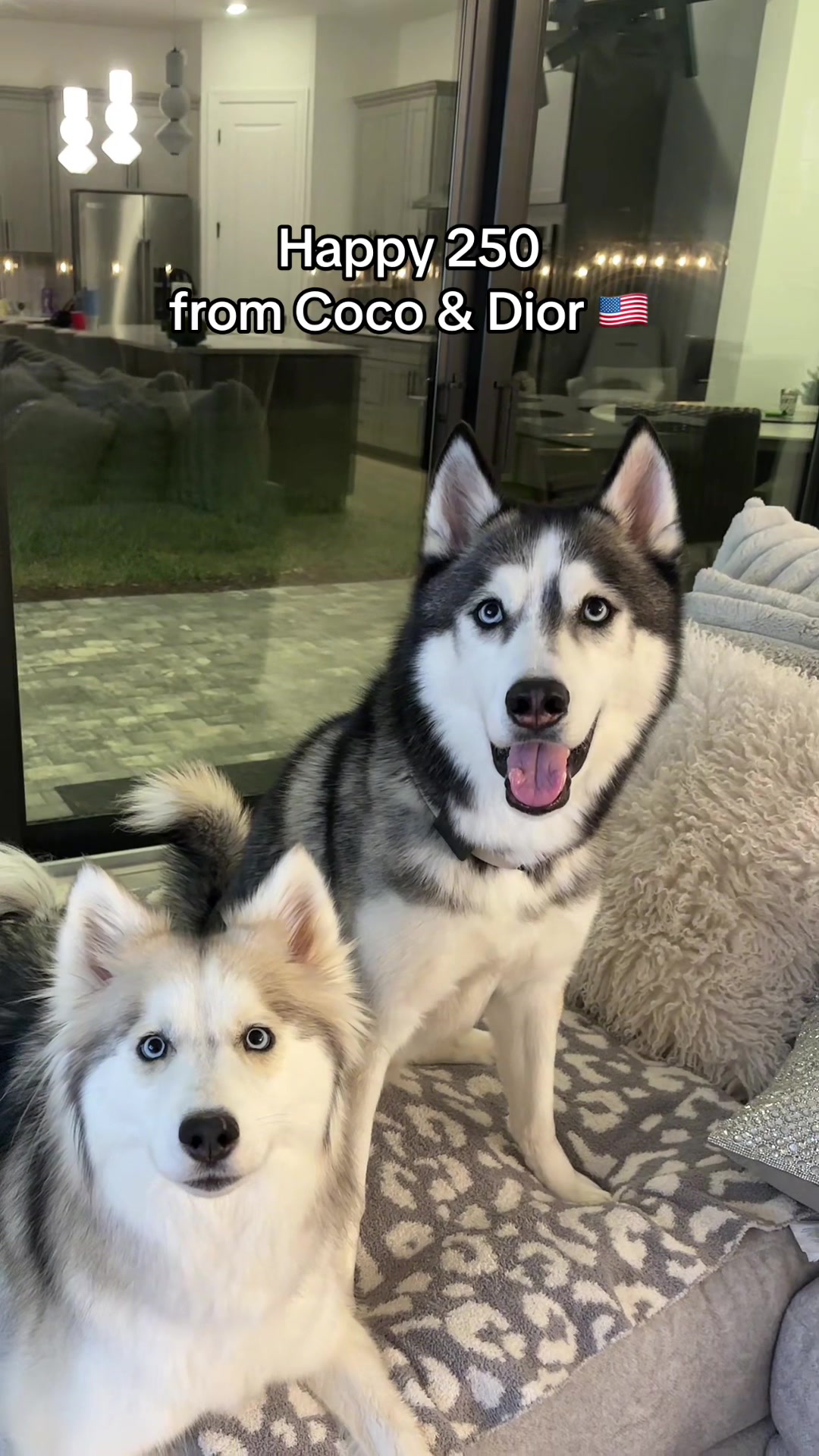 @lifewith2huskies