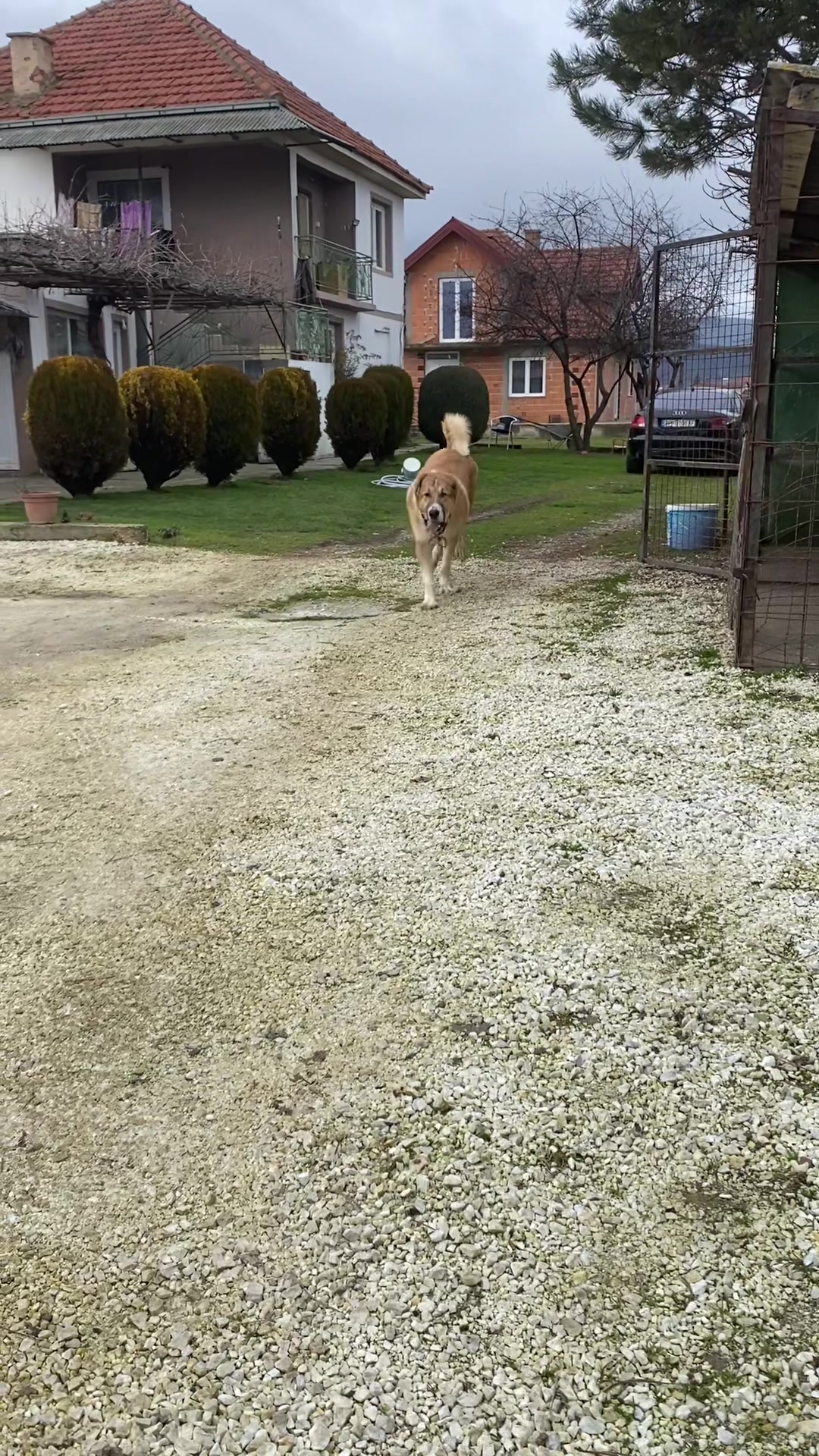 @CAMOKA.TR.KANGAL