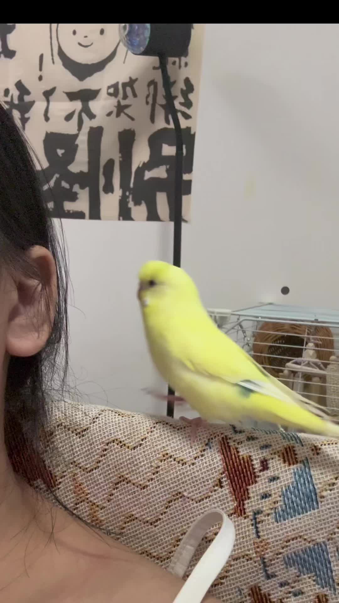 @Pet World Hub