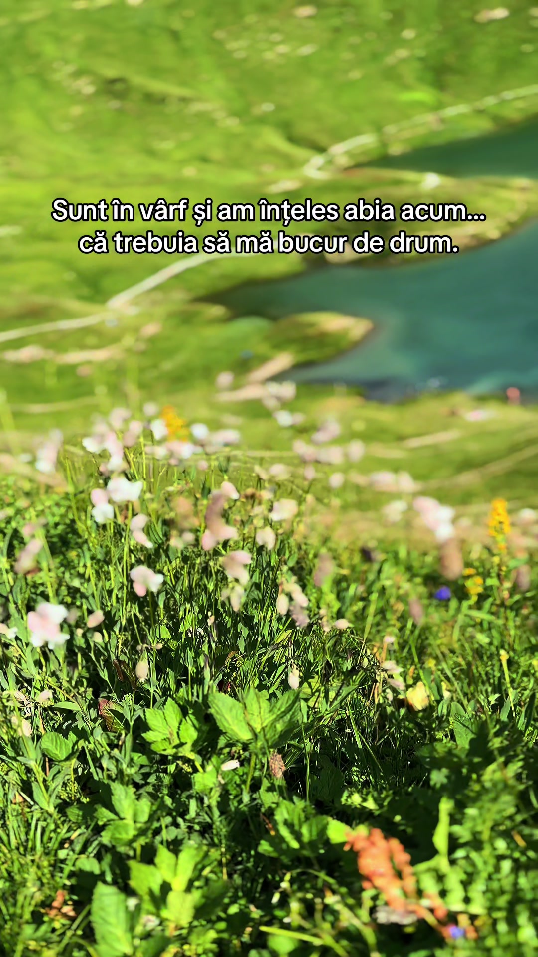 @Cătălin