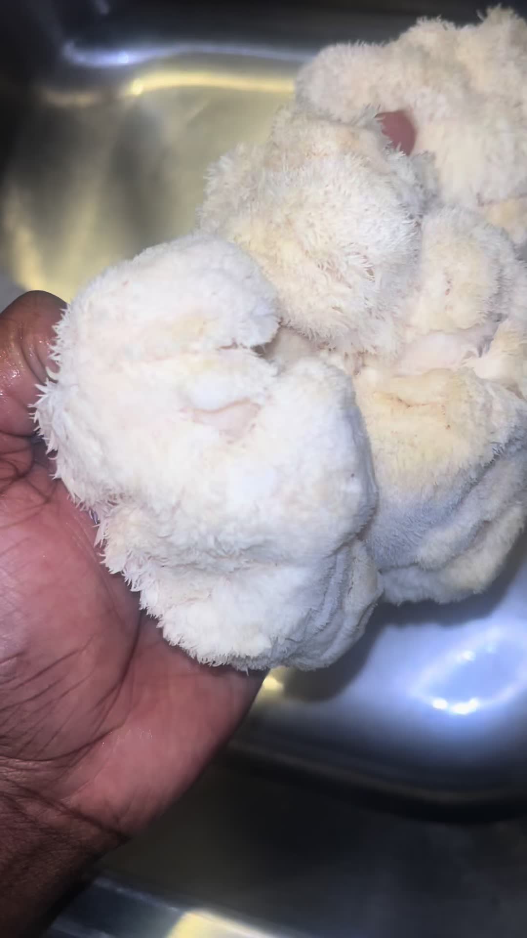 @tyholt045
