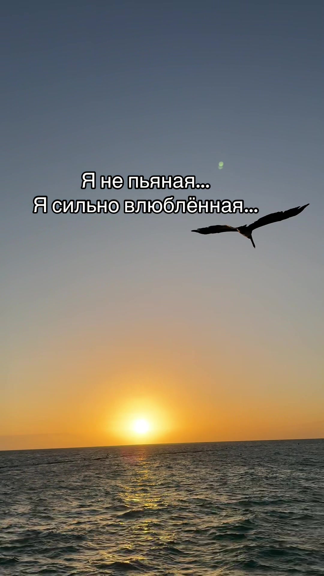 @leonri71