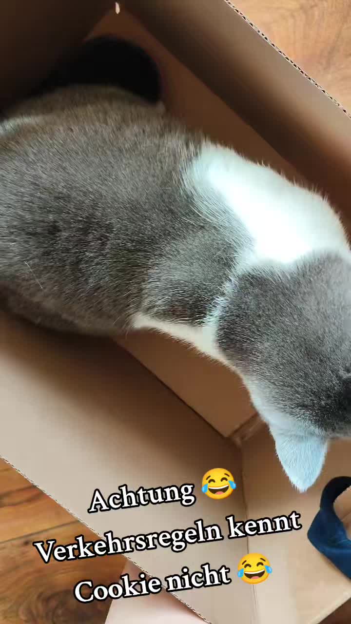 @𝐒𝔸𝓜тᑭᶠ&ouml;тᑕｈⒺή