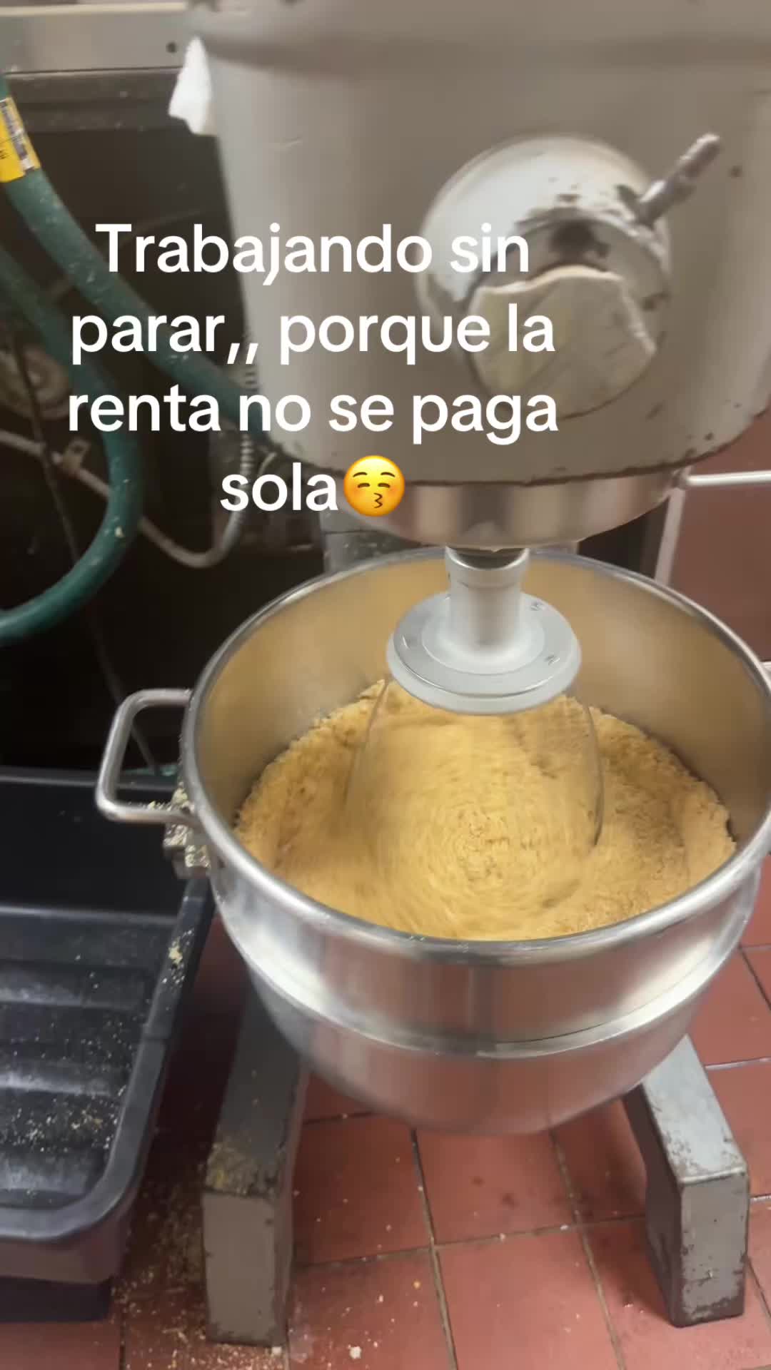 @altagracia.crespin