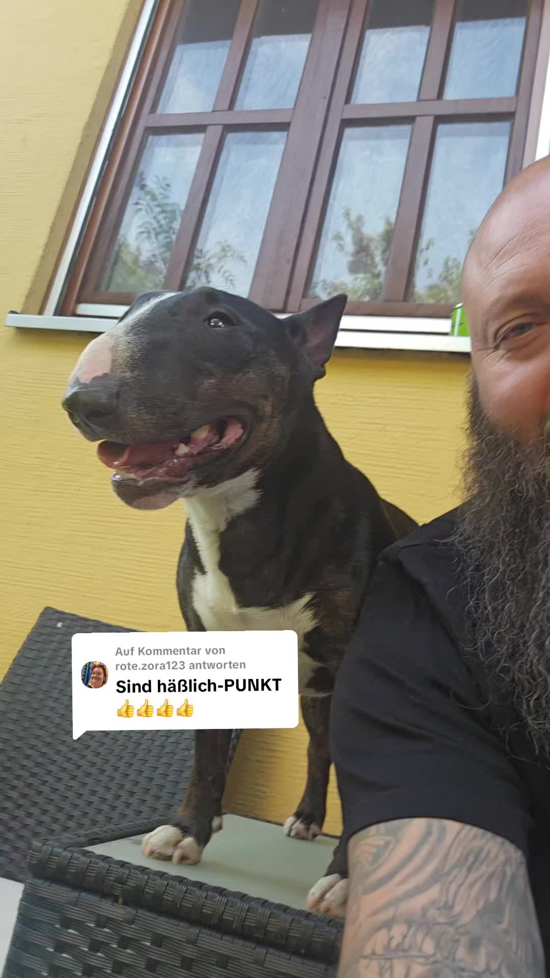 @PATRICK und Mogli d. Minibulli