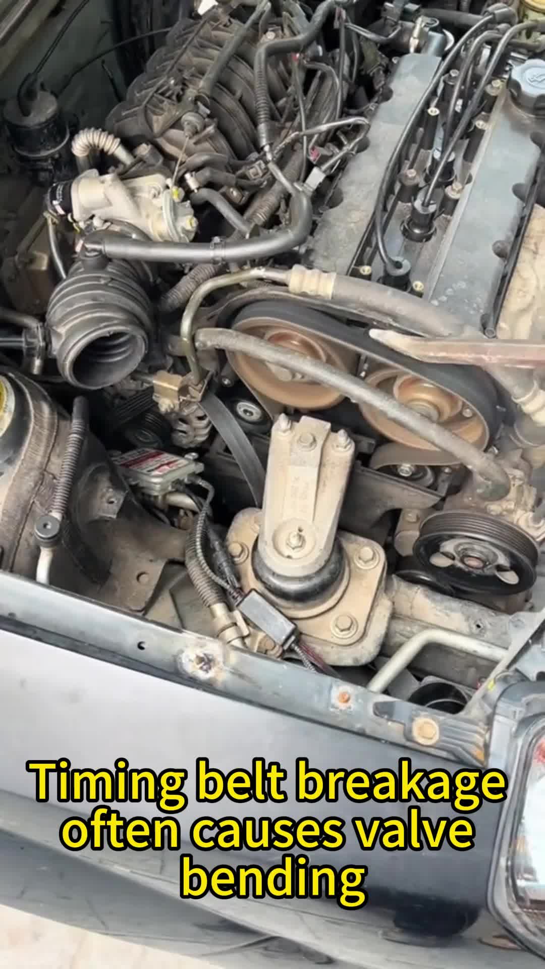 @auto parts