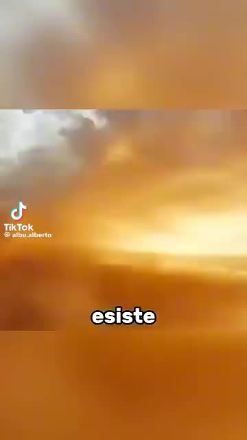 @vinci236
