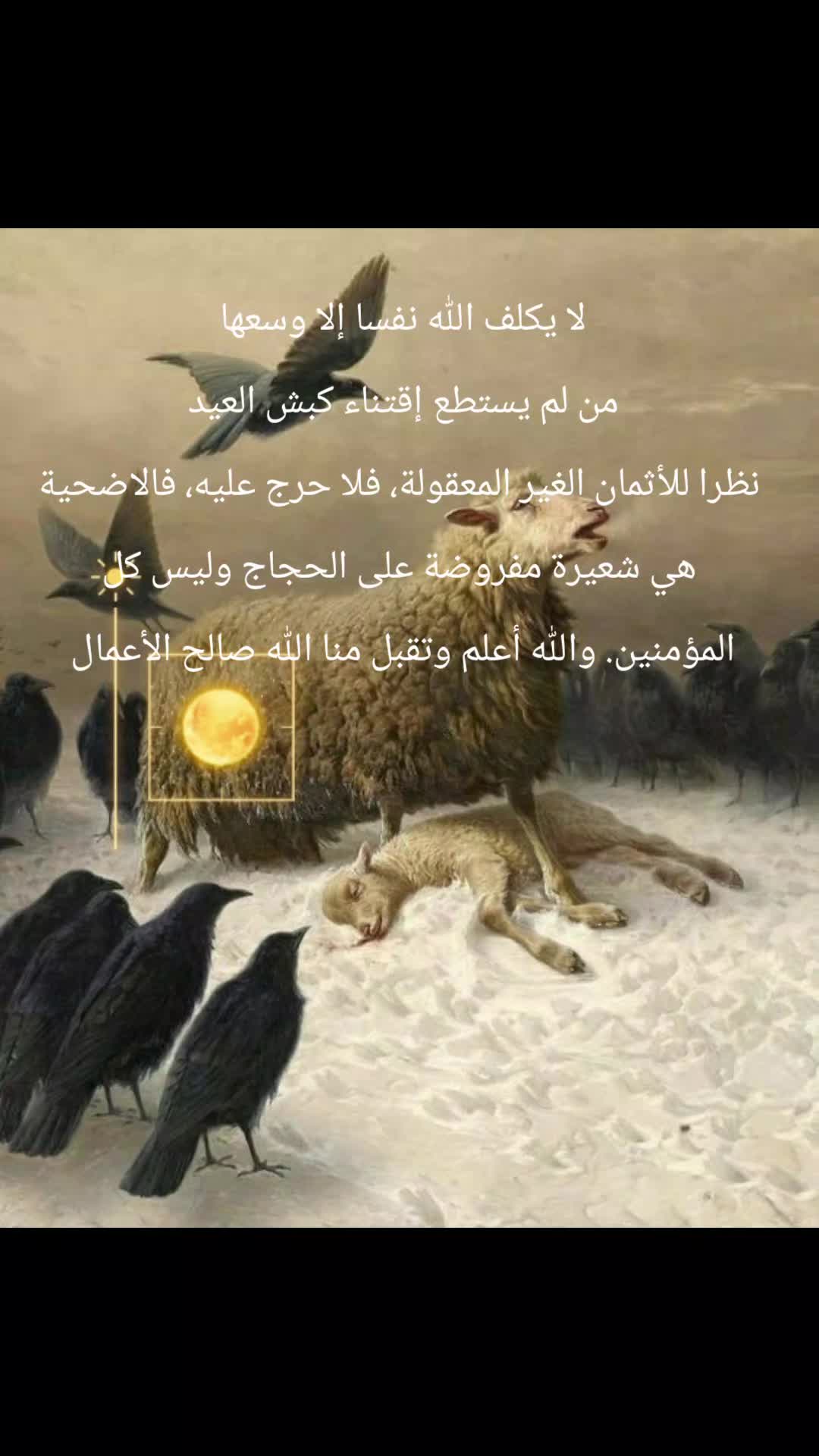@حميد نشاط