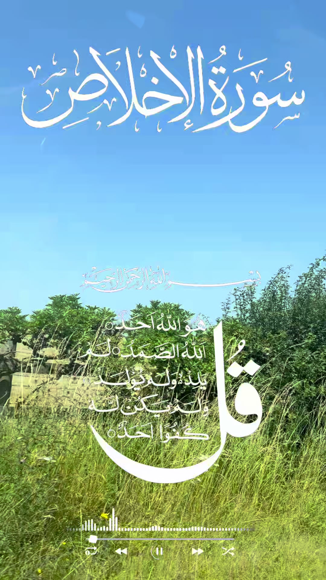 @maqrafiq