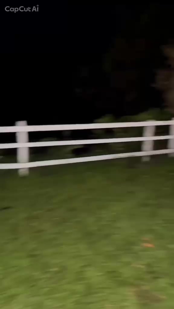@turbo_876