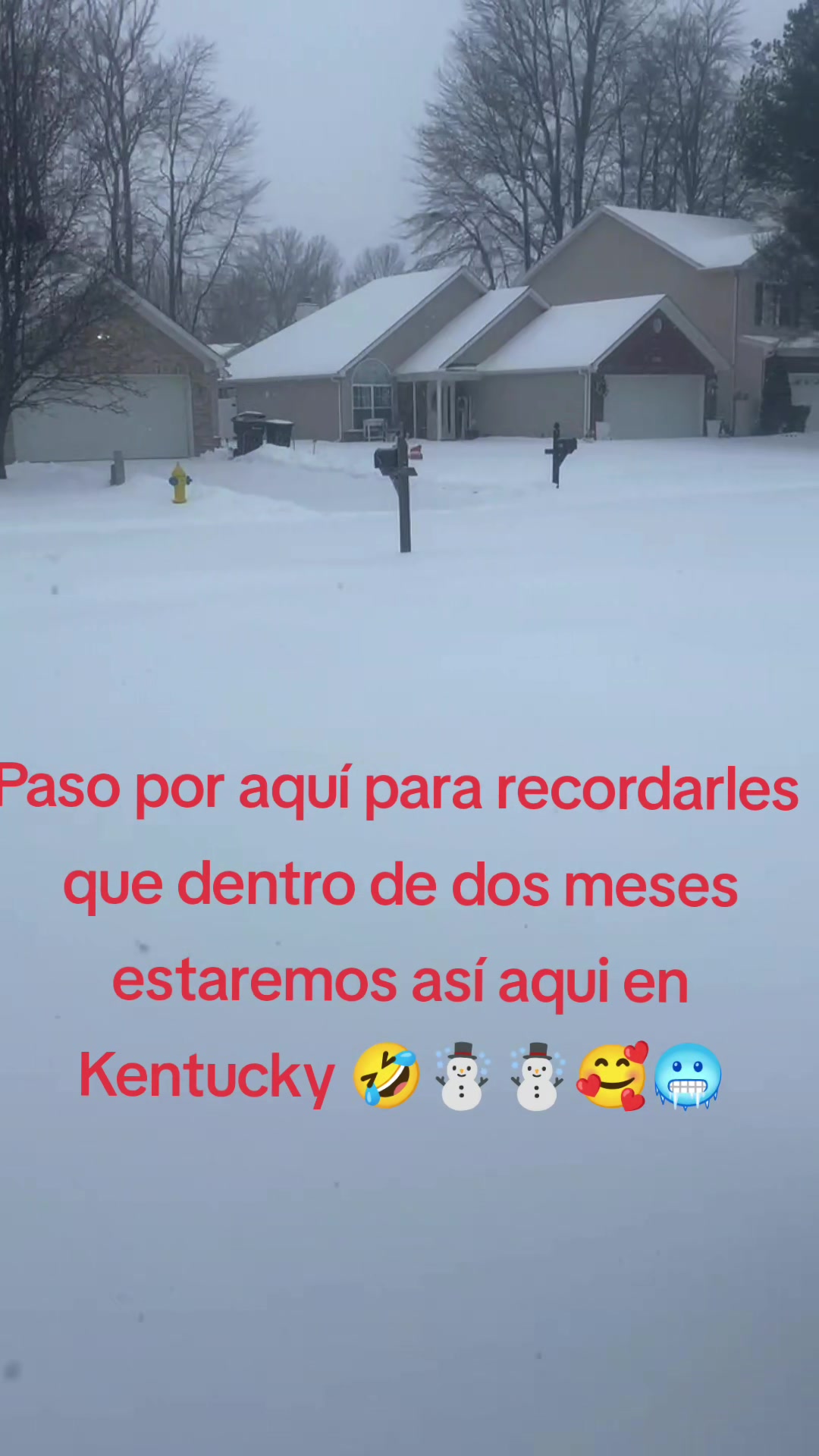 @leydisfinds