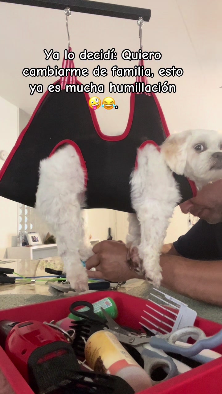 @AZUL🐶🥰
