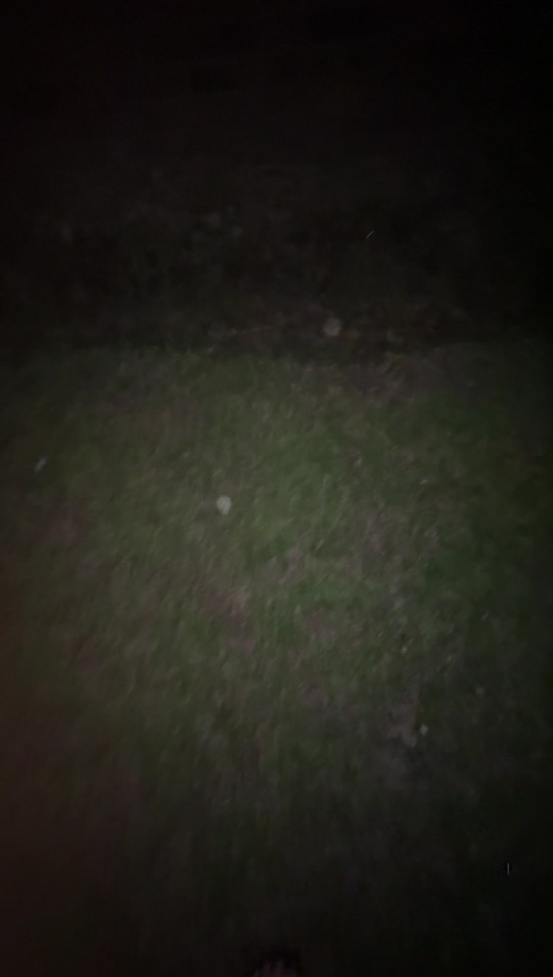 @📷