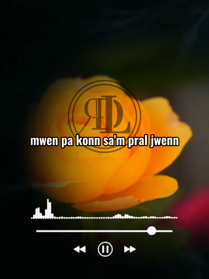@DL-509-HT