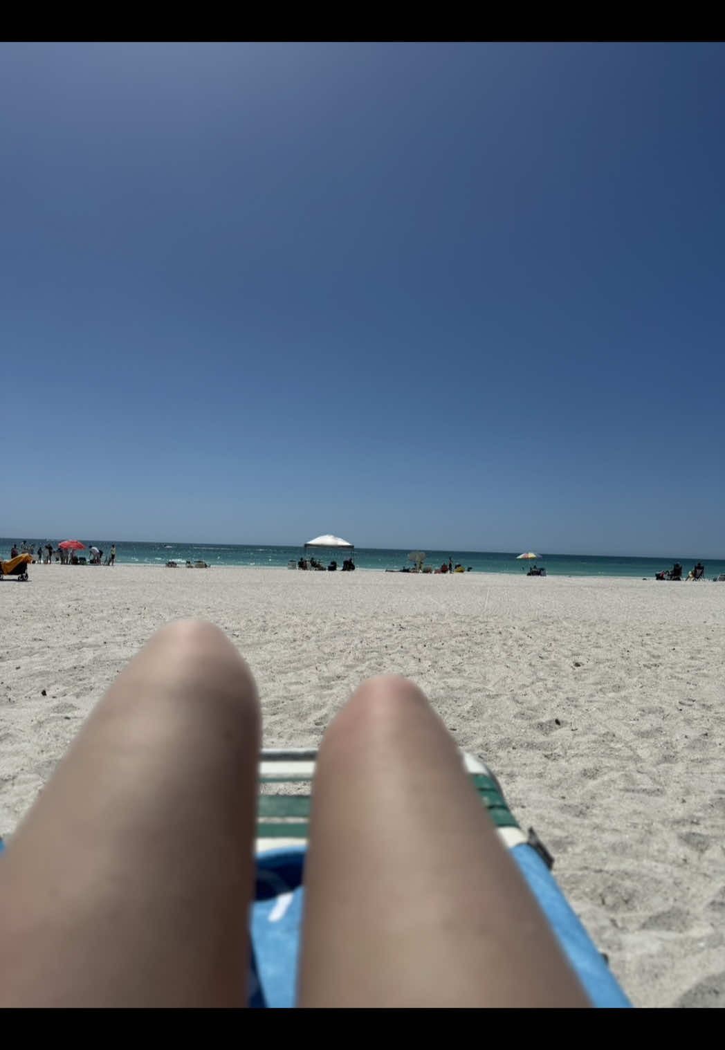@amanda🐚🌊