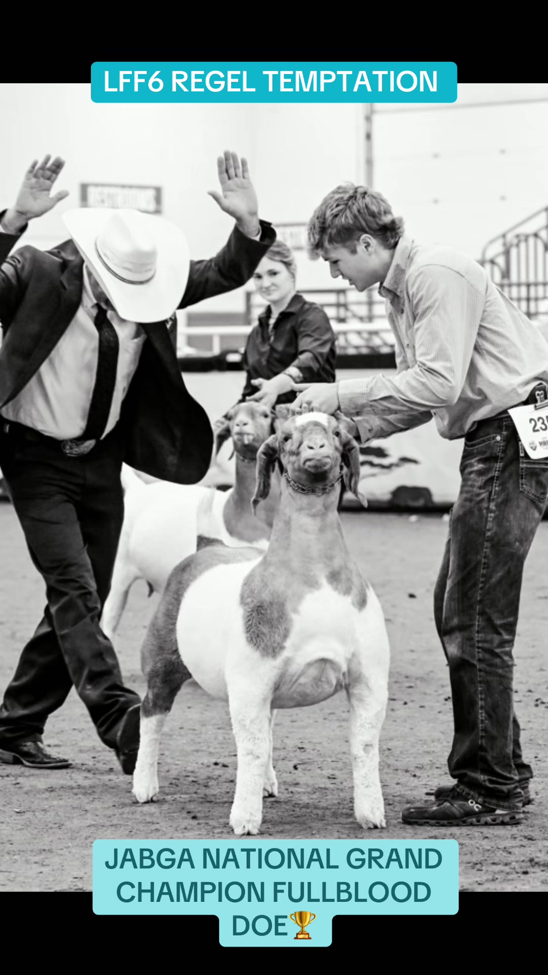 @regelboergoats