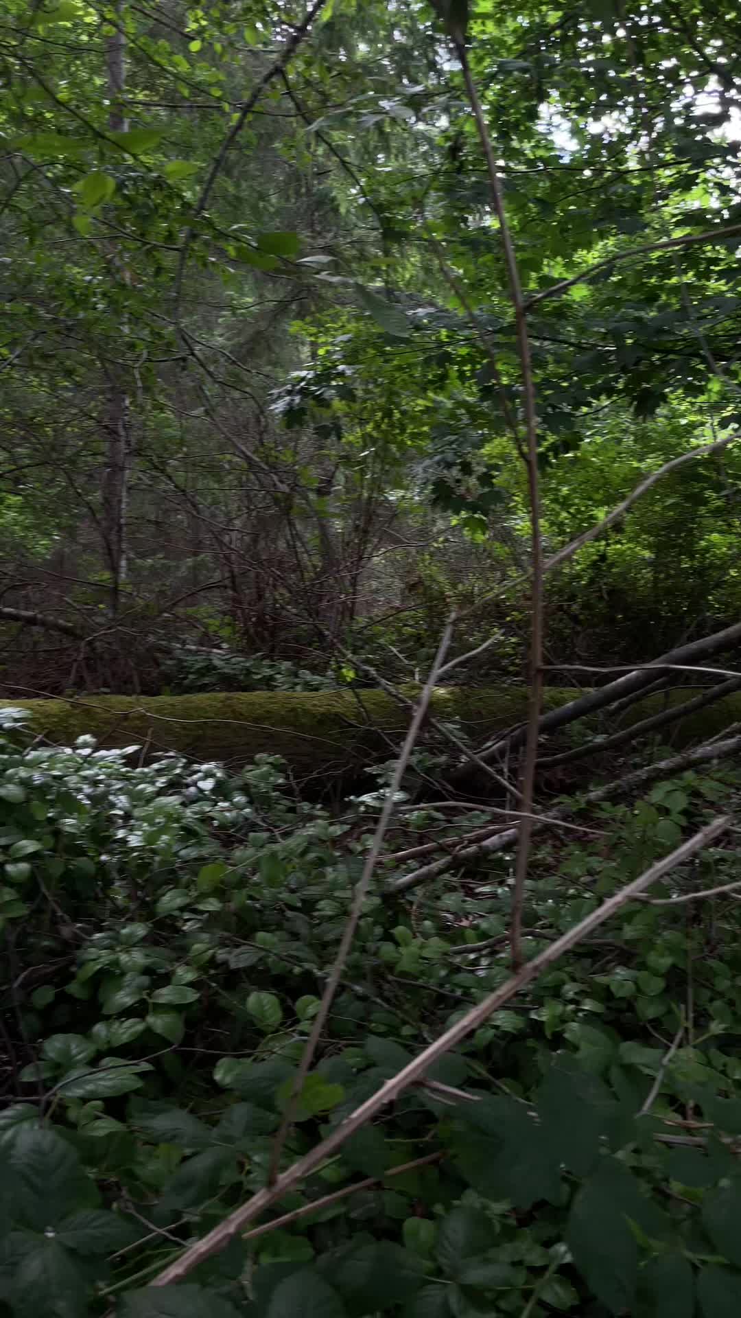 @178.𝒻𝑒𝓇𝓇𝒾𝓈