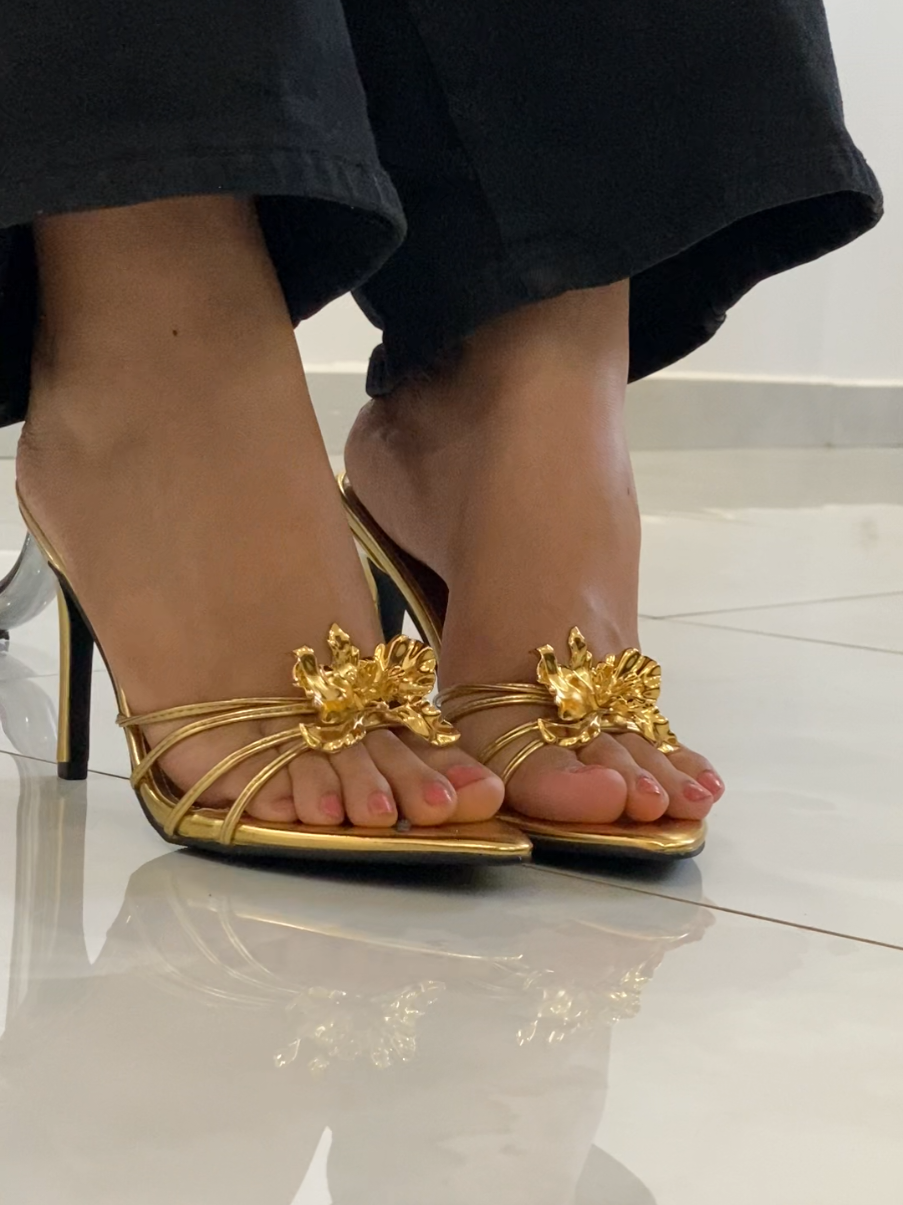 @Jolis_souliers🇸🇳