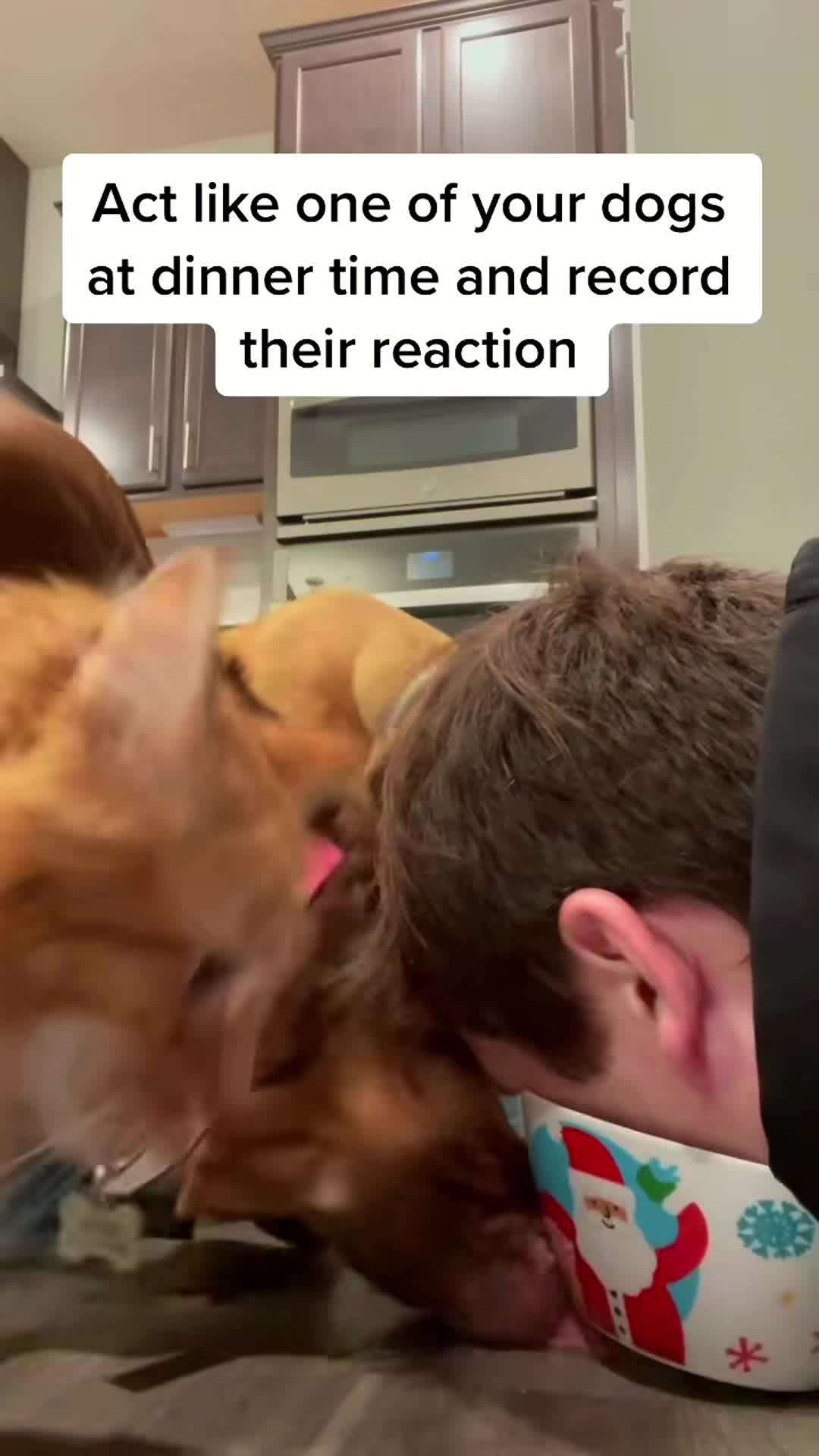 @charliethecharmingpup