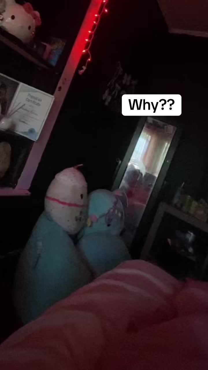 @chelsey.elizabeth2