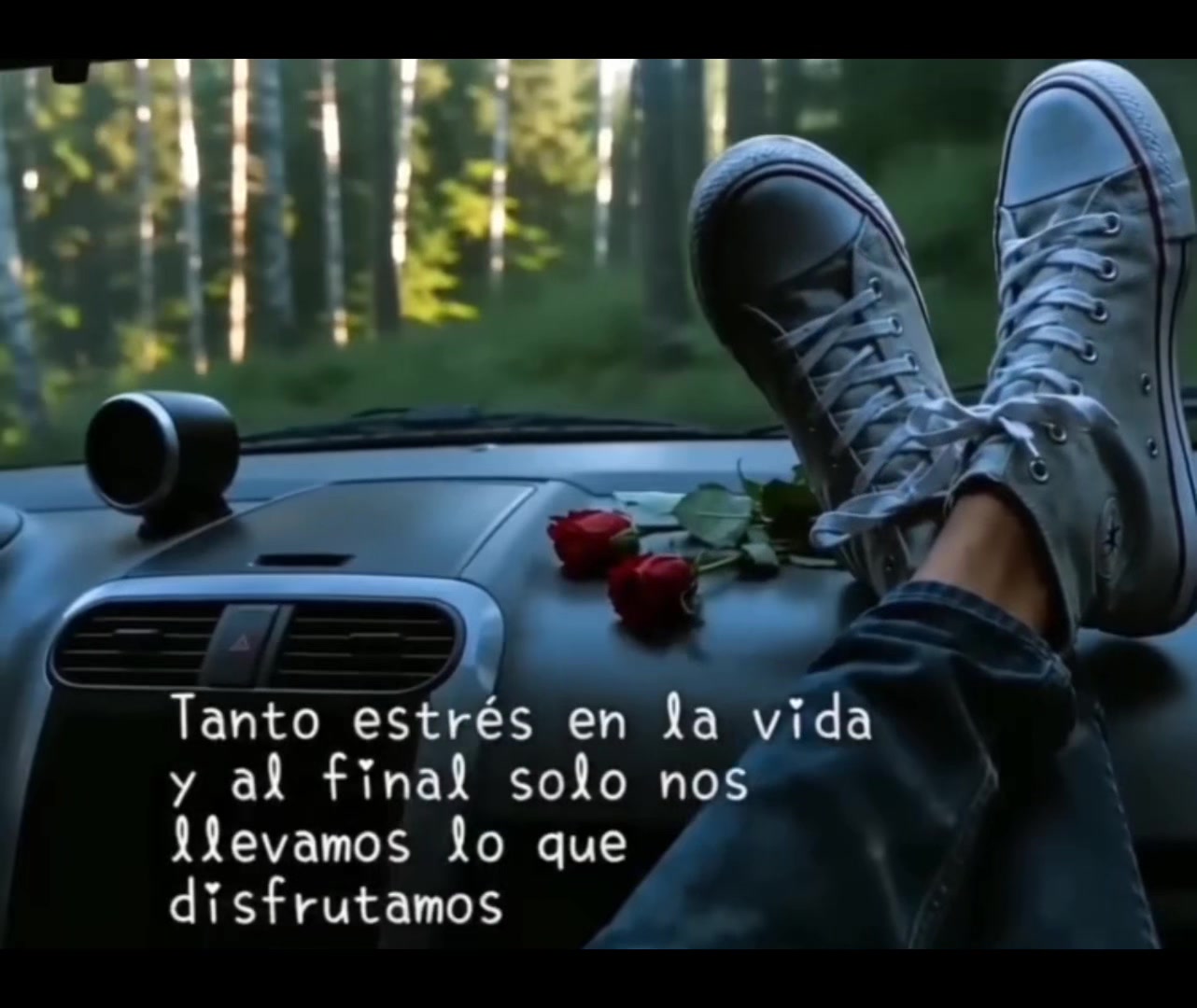@Isabel Cortez