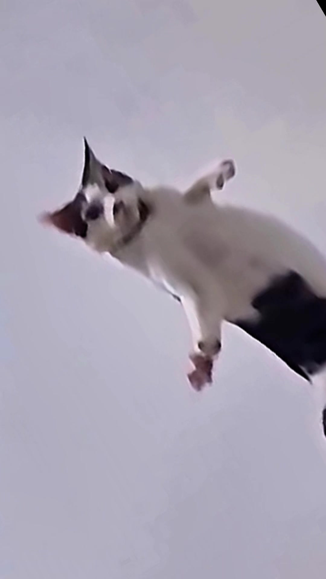 @𝕄𝕣ℂ𝕙𝕣𝕚𝕫𝕫