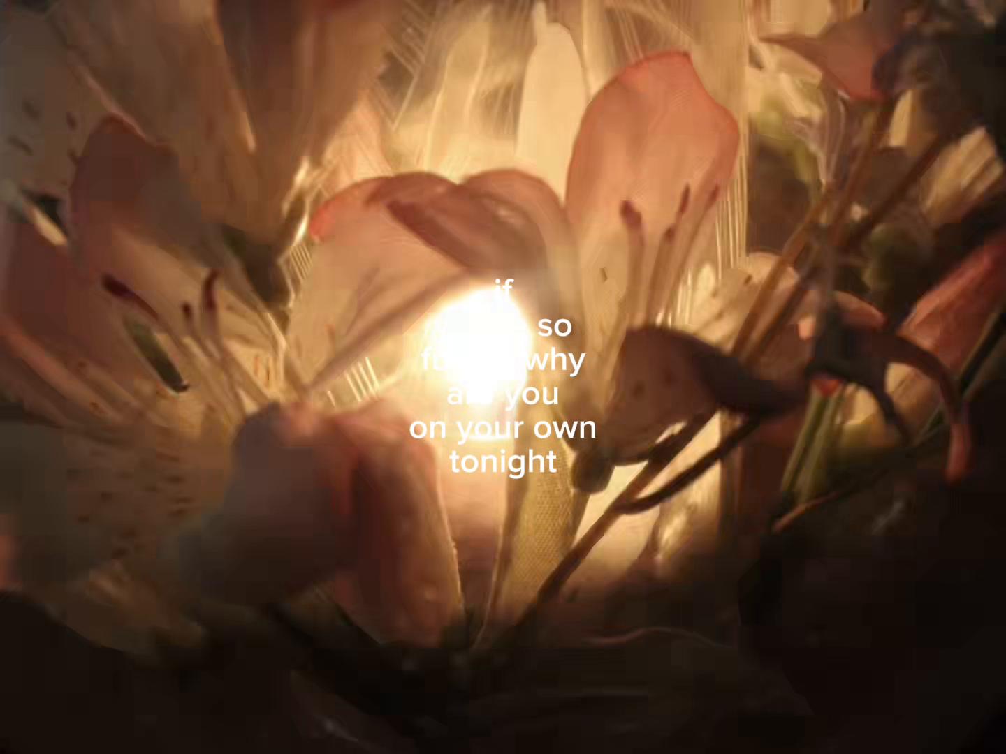 @b ٠࣪⭑
