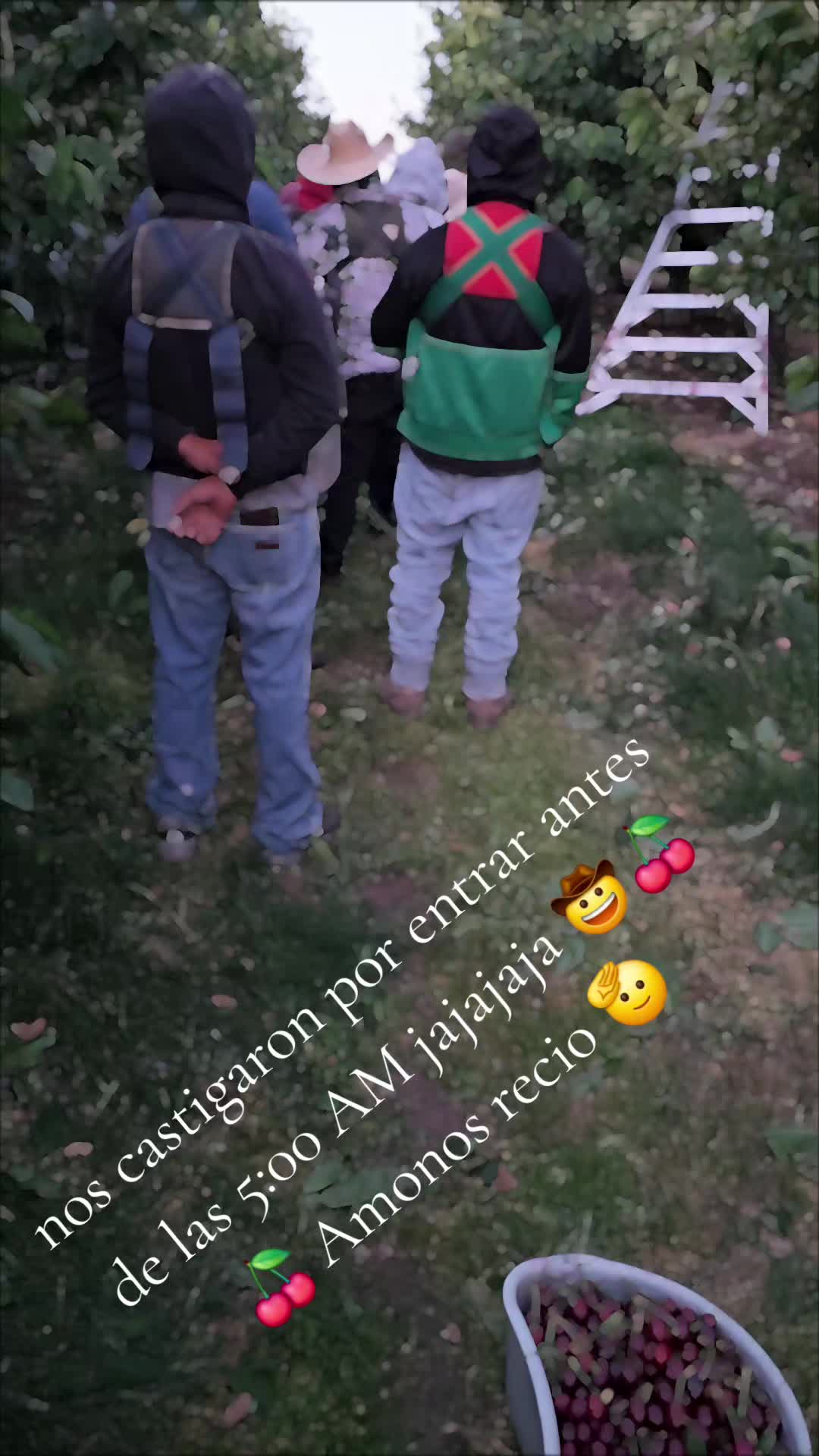 @fulgencio🤠