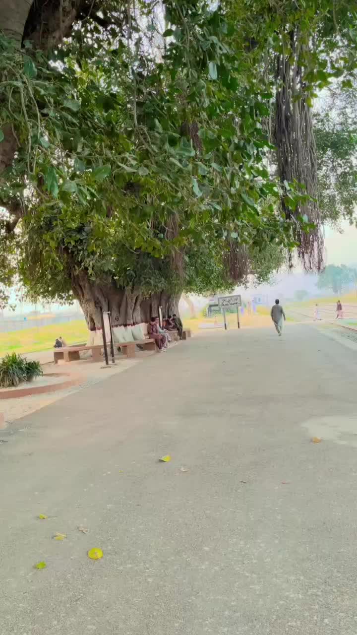 @Saeed khan