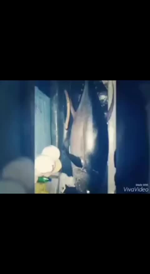 @காத்தவன்💞லக்கி💞பிரசாந்