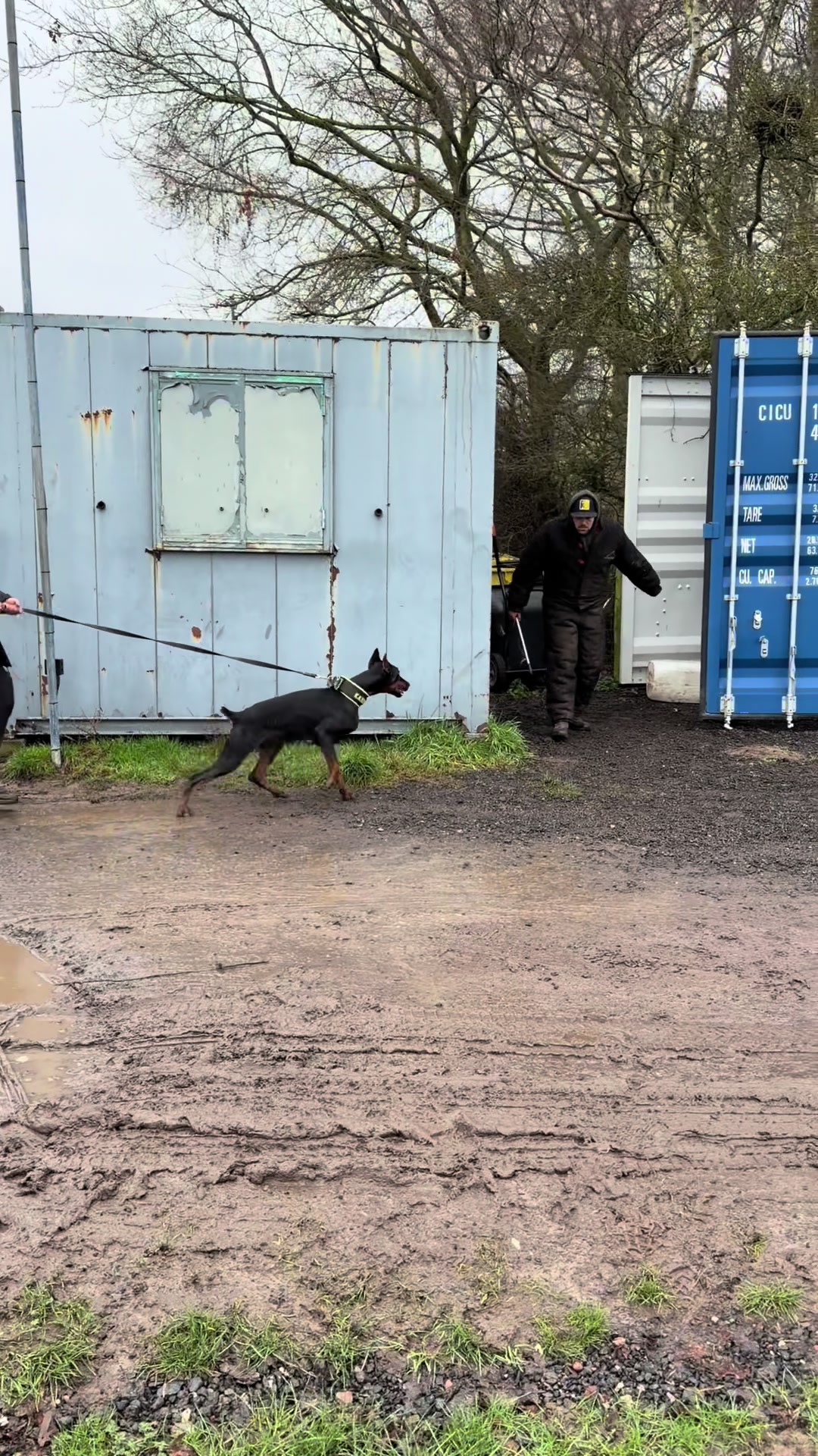 @protectiondobermanns