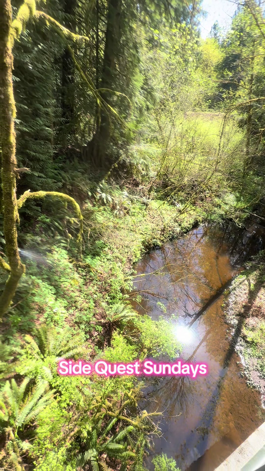 @singlemomsurvivor