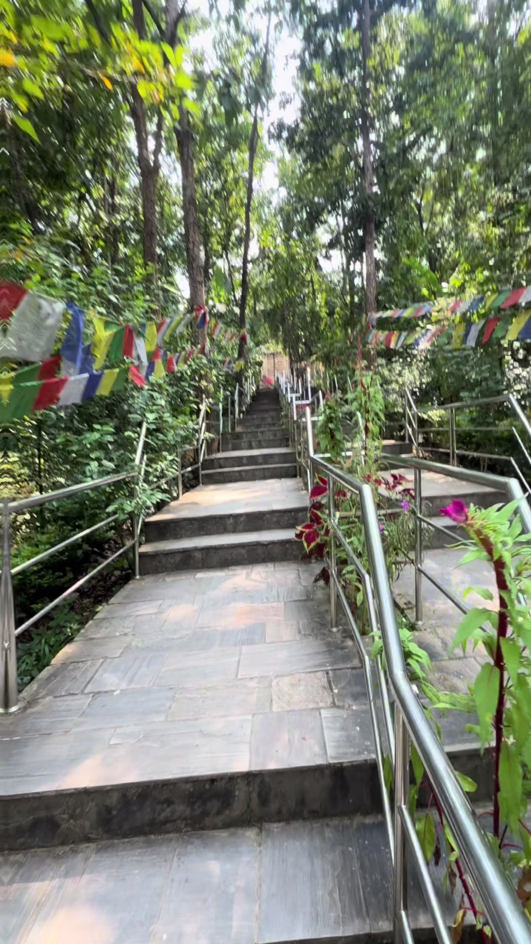 @NRIPESH SHRESTHA🇳🇵