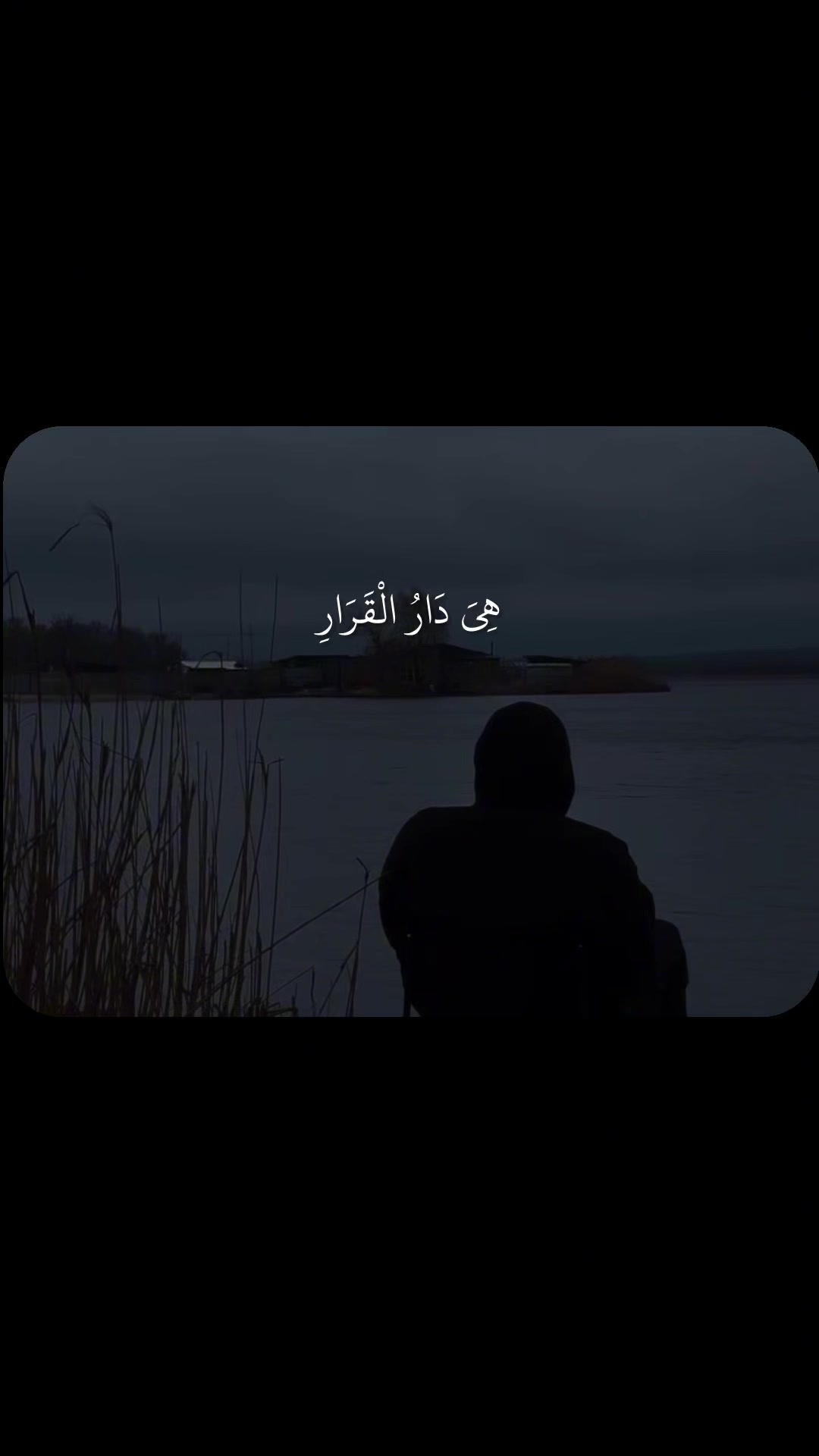 @Quran🤍 Recitation 🎙️